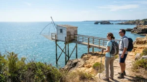 que faire a saint palais sur mer